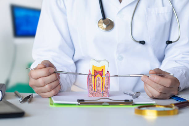 Best Walk-In Emergency Dentist in Mound Bayou, MS
